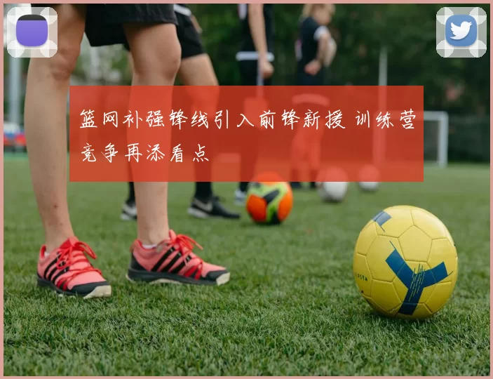 篮网补强锋线引入前锋新援 训练营竞争再添看点