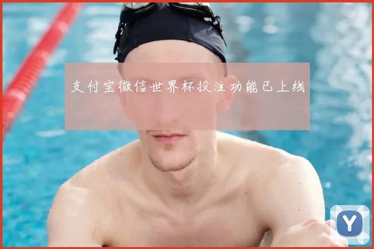 支付宝微信世界杯投注功能已上线