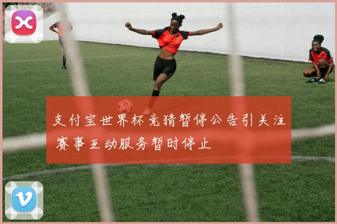 支付宝世界杯竞猜暂停公告引关注 赛事互动服务暂时停止