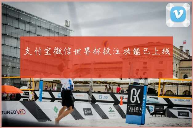 支付宝微信世界杯投注功能已上线